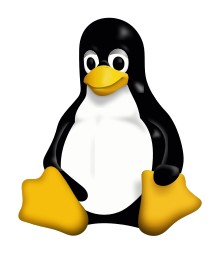 Support Linux